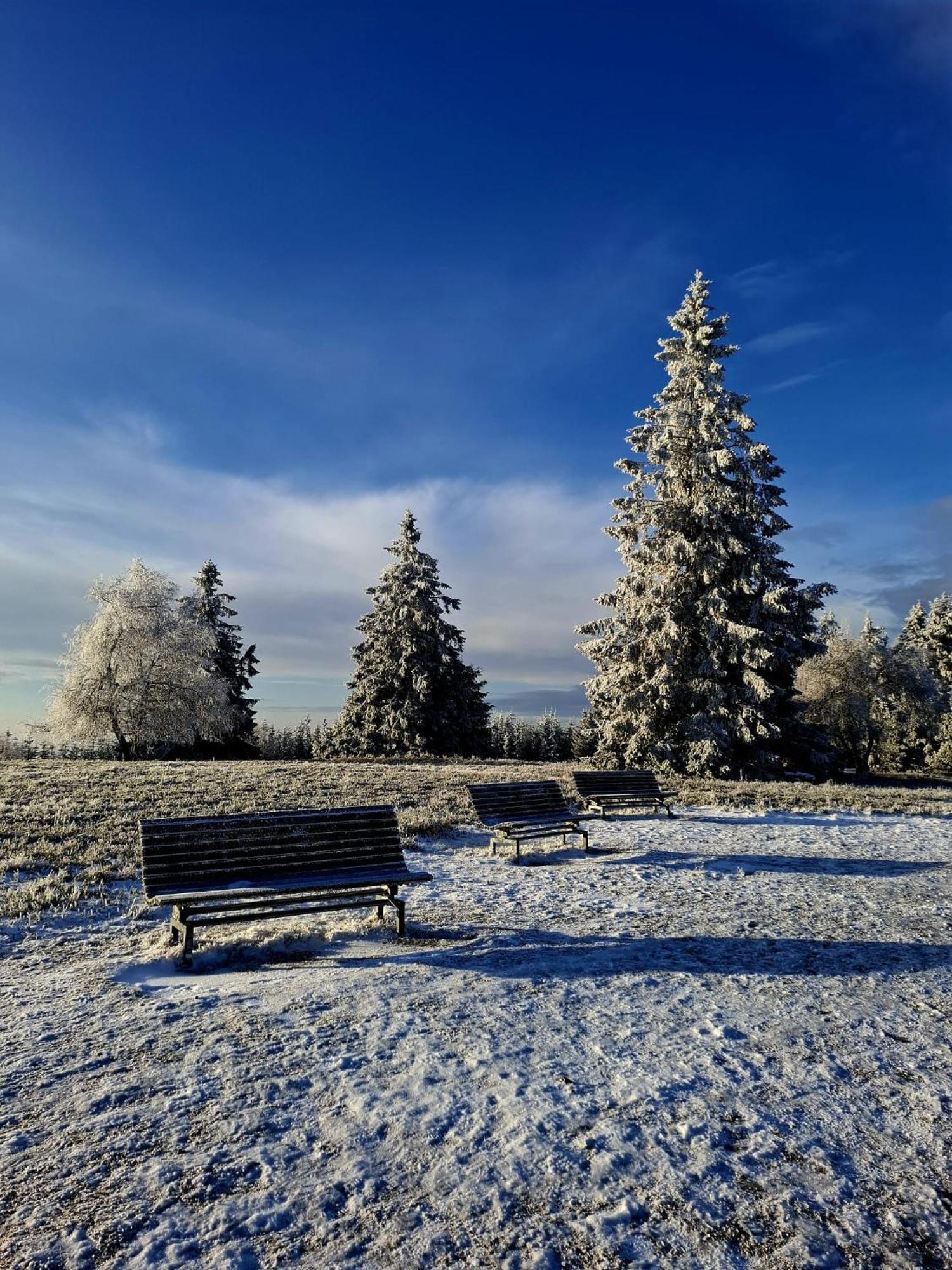Haus Astenberg Winterberg Bagian luar foto